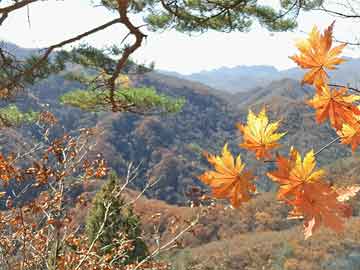 寿光打胎药询问医生（打胎药医院给开吗）